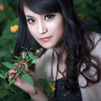 清晨的阳光作文